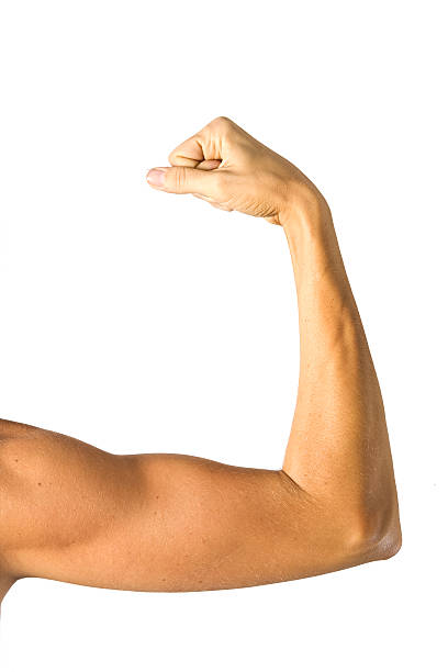 arm
