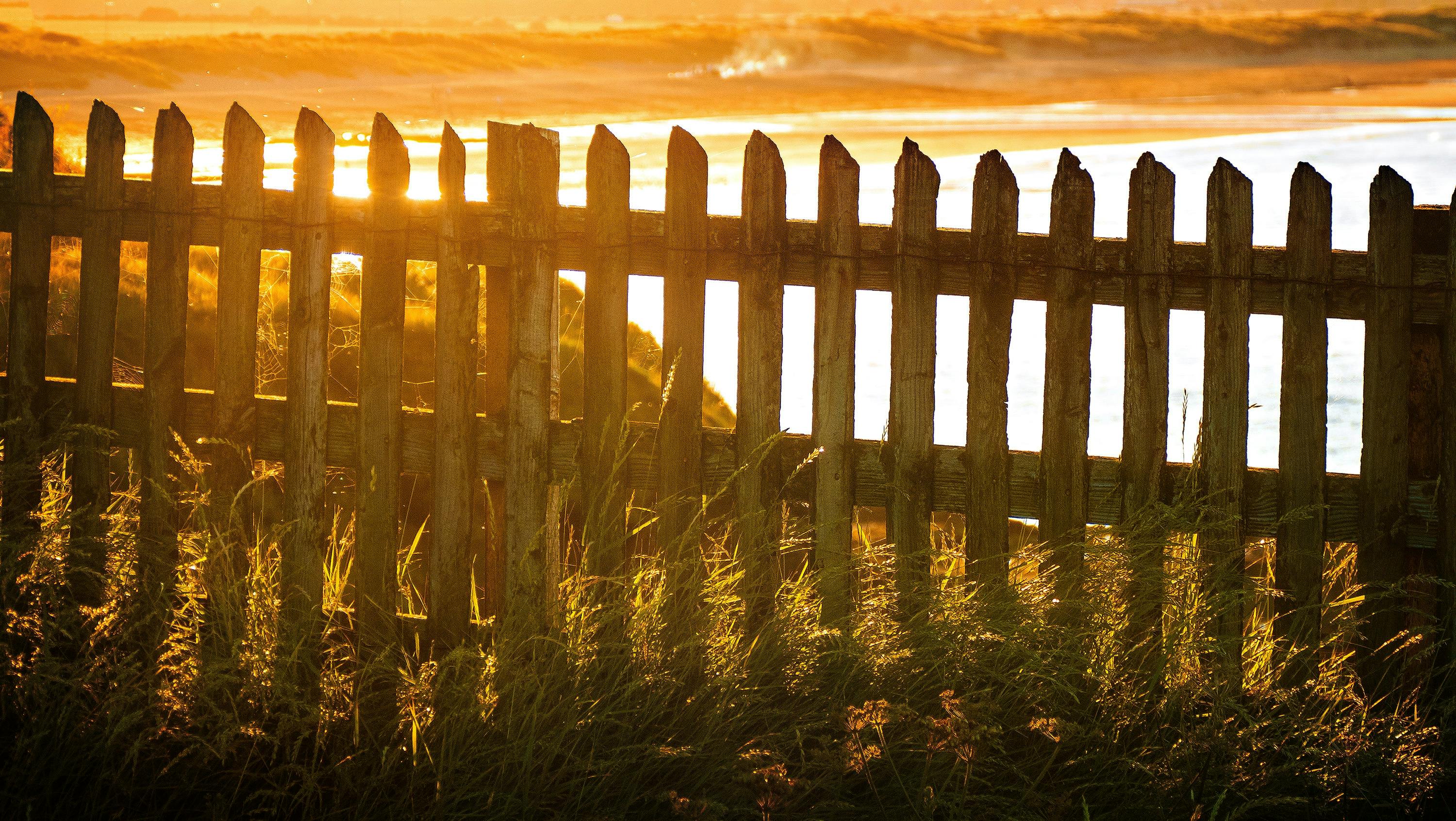 fence